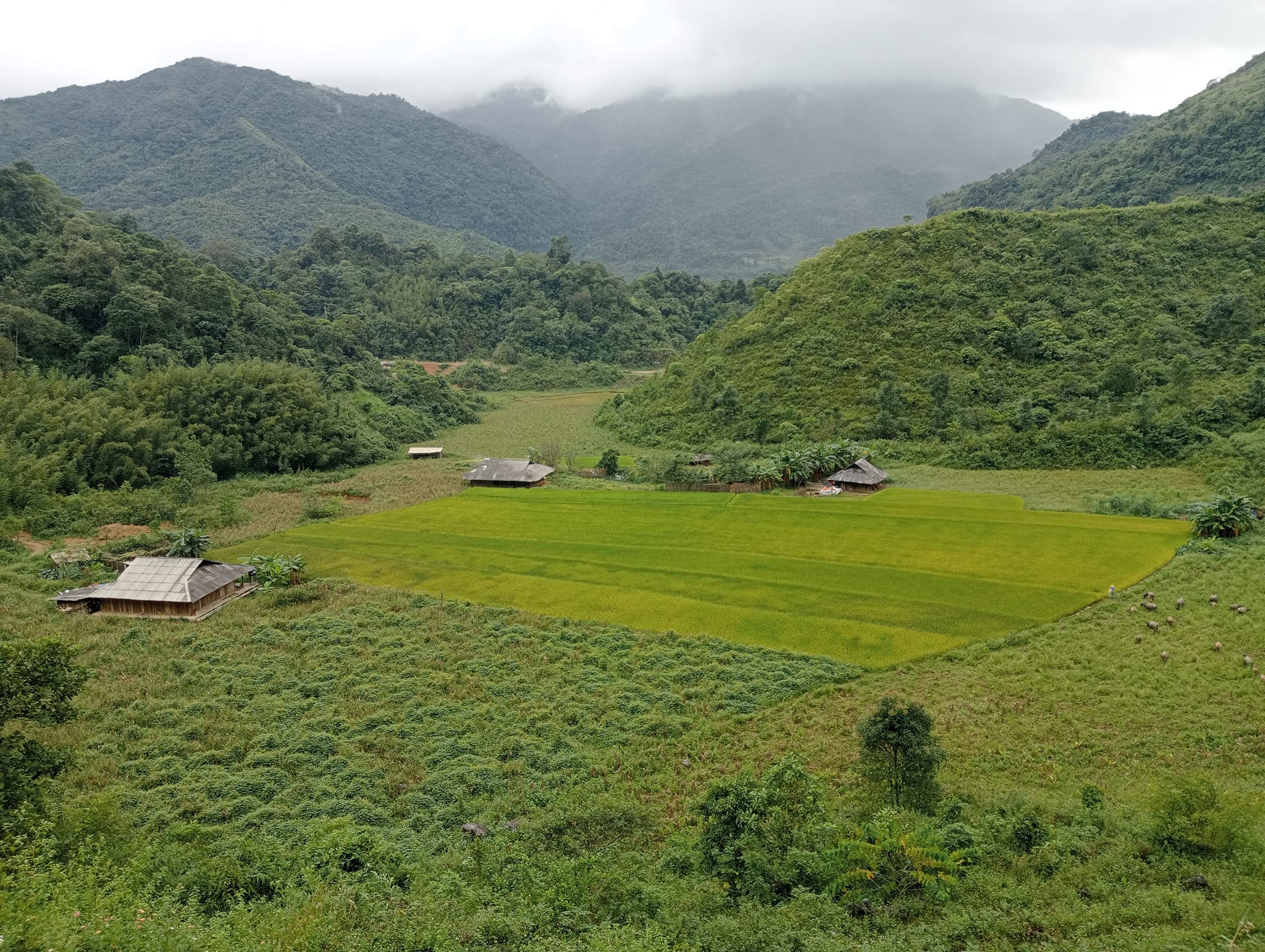 Epic Cycling Vacation From Ha Giang Loop To Vietnam's Central Coast 21 Days